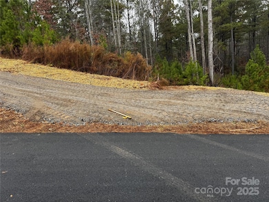 00 Scenic Ln unit 186, Granite Falls, NC 28630 - photo 3