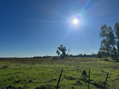 0 Blake Rd, Wilton, CA 95693 - photo 6