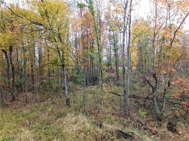 40 Bradley Brownlee Rd, Cortland, OH 44410 - photo 6