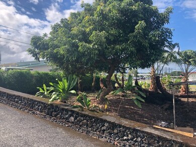 29 Laula Rd, Hilo, HI 96720 - photo 6