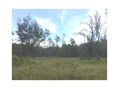 Land.