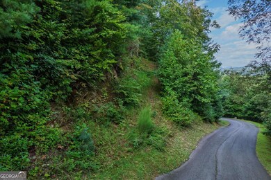 0 Dusty Danno Trail unit 25,27 10601098, Mineral Bluff, GA 30559 - photo 4