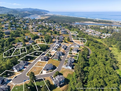 All Lot Lines_01-DJI_20240724095658_0363