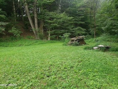 7381 Pennsylvania 442, Muncy, PA 17756 - photo 4