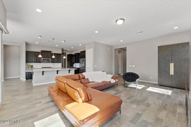 chef's kitchen open to great room