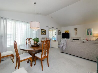 3001 Blue Goose Ct, Hendersonville, NC 28792 - photo 7