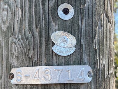 646 Jonathan St, Lake Placid, FL 33852 - photo 4