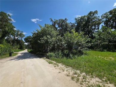 0 SE 33rd Ct, Belleview, FL 34420 - photo 2