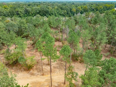 1.04 Mol Ac Old Hwy 24 Parcel 11, Mc Lain, MS 39456 - photo 2