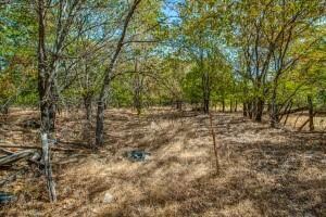 801 J e Woody Rd, Springtown, TX 76082 - photo 3
