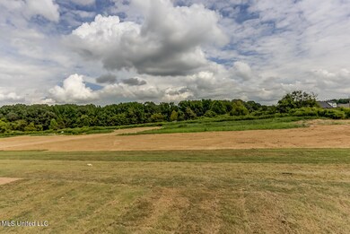 4742 Taylor Trail, Hernando, MS 38632 - photo 4