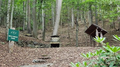 12 Hickory Springs Rd unit 12, Burnsville, NC 28714 - photo 3