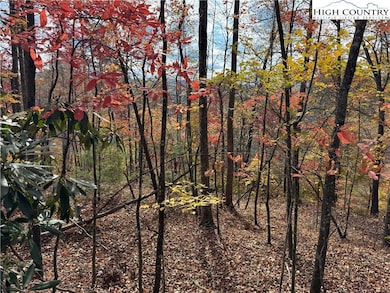 TBD Globe Rd, Lenoir, NC 28645 - photo 2