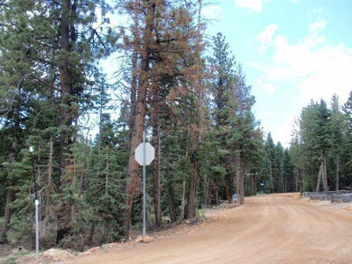 Access road