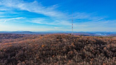 60A Blackcat Mountain Rd, Poland, ME 04274 - photo 4