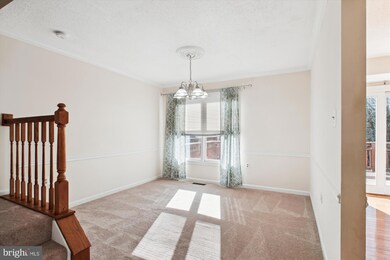 8113 Squirrel Run Rd, Springfield, VA 22152 - photo 5