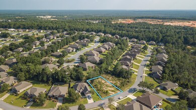669 Red Fern Aerial-4