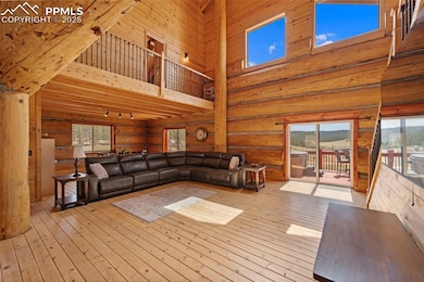 654 High Pasture Rd, Florissant, CO 80816 - photo 3