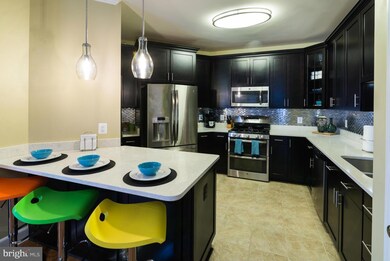 24636 Woolly Mammoth Terrace unit 200, Aldie, VA 20105 - photo 5