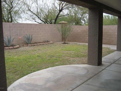 Check Out this Great Back Yard