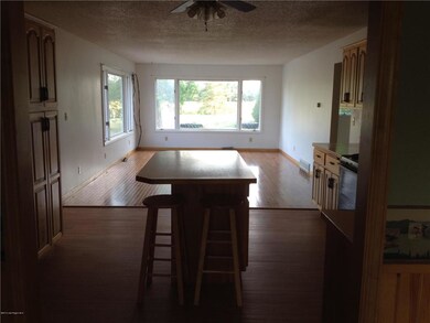 Kithen and living room from DR