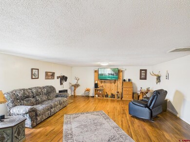 63645 Highway 491, Dove Creek, CO 81324 - photo 5