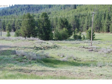 0 Center St unit 19204082, Granite, OR 97877 - photo 2