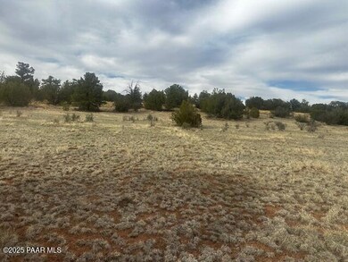 Lot 382se Gable Ave, Seligman, AZ 86337 - photo 4