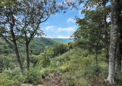 0 Raulston Falls Rd unit RTC2981268, Jasper, TN 37347 - photo 4