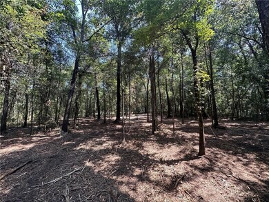 Danner Dr, Wilmer, AL 36587 - photo 6