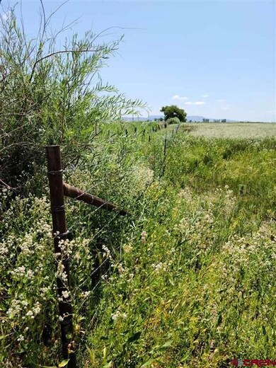 TBD Rd Road 112 S, Alamosa, CO 81101 - photo 6