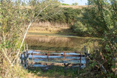 00 Russell Rd, Berryville, VA 22611 - photo 5