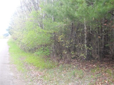 0 25 1 16 St, Chetek, WI 54728 - photo 7