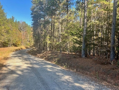 0 Pine Ridge Dr unit LotWP001, Elberton, GA 30635 - photo 2