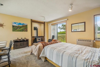 37 Valley View Dr unit 3136, Pagosa Springs, CO 81147 - photo 6