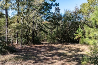 13793 Acr 404, Palestine, TX 75803 - photo 5
