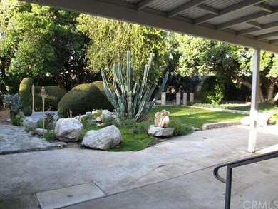 What a wonderful backyard!