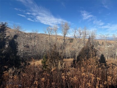 various Pony St, Pony, MT 59747 - photo 4