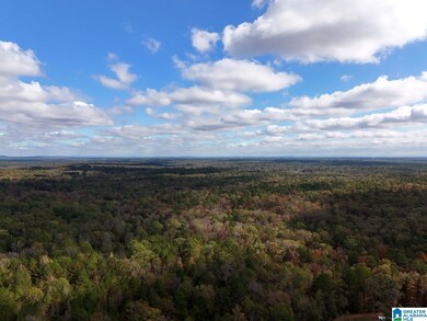 0 Limestone Dr unit 21404125, Calera, AL 35040 - photo 4