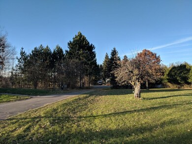 View from near the pole shed looking out the drive