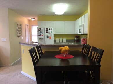 8457 Grand Trevi Dr unit 4901, Louisville, KY 40228 - photo 4