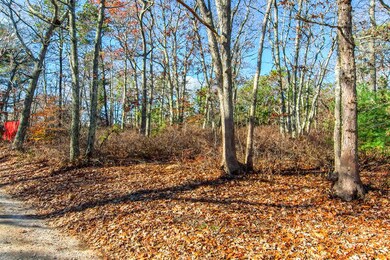 0 Cranberry Acres Way, Tisbury, MA 02568 - photo 7