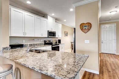 13703 Messina Loop unit 101, Bradenton, FL 34211 - photo 7