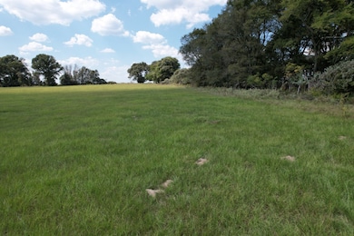 TBD-B County Road 435, Frankston, TX 75763 - photo 2