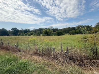 00 Wood Rd, Murphysboro, IL 62966 - photo 5