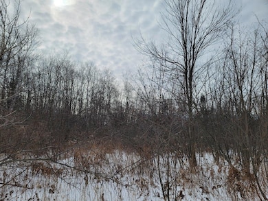 off N Weirgor Rd unit 5 Acres, Exeland, WI 54835 - photo 7