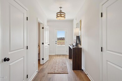 258 Liberty Grove Ct, Smithfield, NC 27577 - photo 3