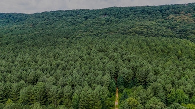 0 Back Valley Rd unit 25606694, Lyerly, GA 30730 - photo 2