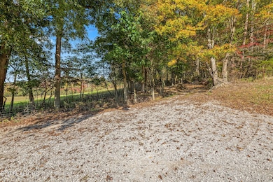 13-web-or-mls-moore-cove-rd