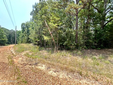road frontage 1